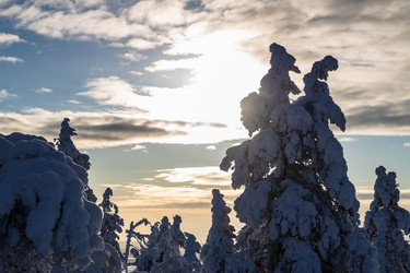 Similar image 22529616