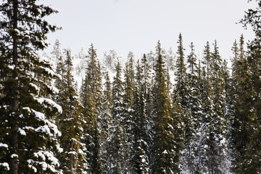 Similar image 22529642