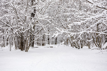 Similar image 22529713