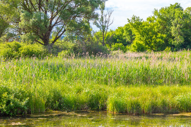 Similar image 22522975