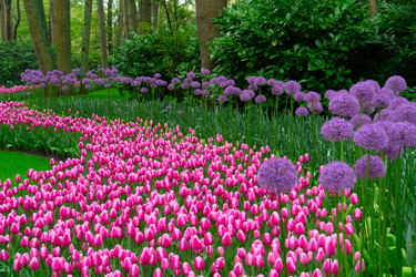 Similar image 22587520