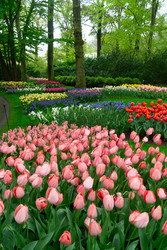 Similar image 22587521