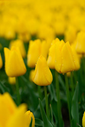 Similar image 22587761