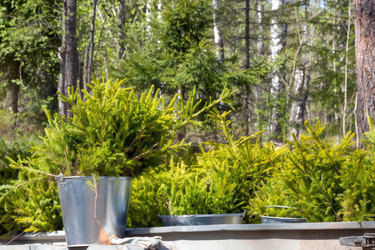 Similar image 22522977