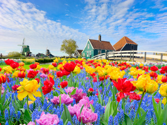 Similar image 22587984