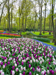 Similar image 22588029