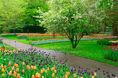 Similar image 22588030