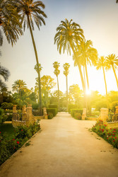 Similar image 22586937