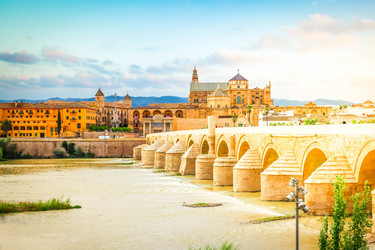 Similar image 22587025