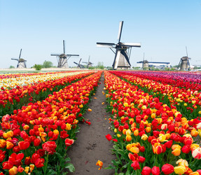 Similar image 22587072