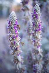 Similar image 22528155