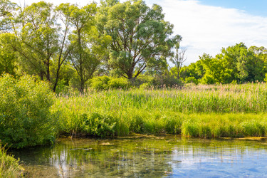 Similar image 22522978