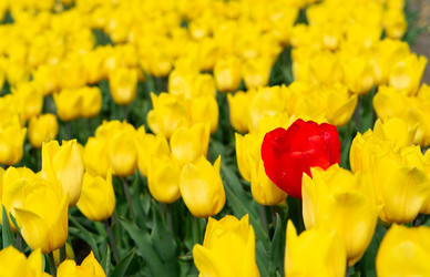 Similar image 22587221