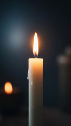 Similar image 22534951