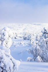 Similar image 22529354