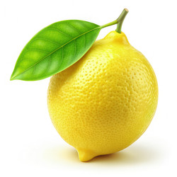 Similar image 22538244