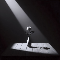 Similar image 22545228