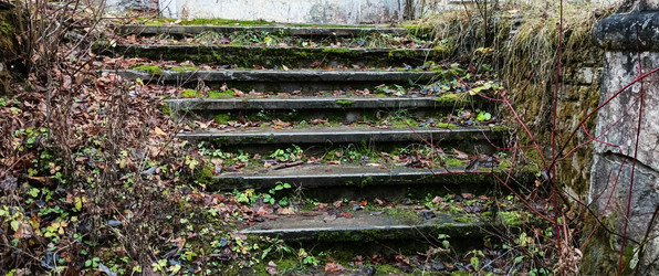 Similar image 22554292