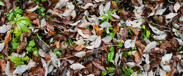 Similar image 22554294