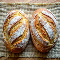 Similar image 22538588