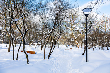 Similar image 22523396