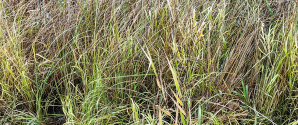 Similar image 22554261