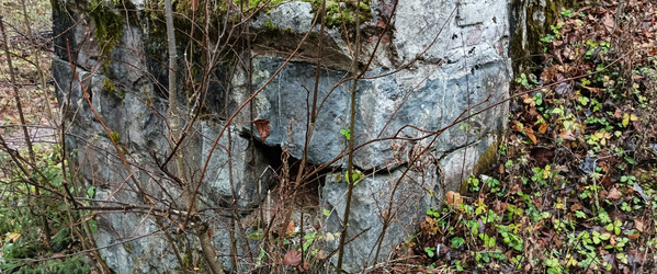 Similar image 22554277