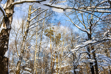 Similar image 22529387