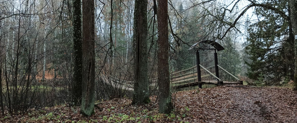 Similar image 22554278