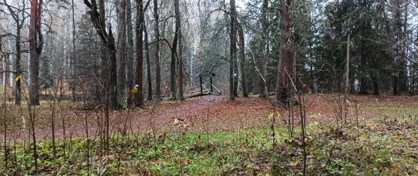 Similar image 22554279