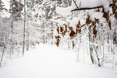 Similar image 22529504