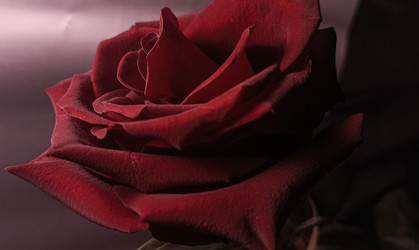 Similar image 22554295