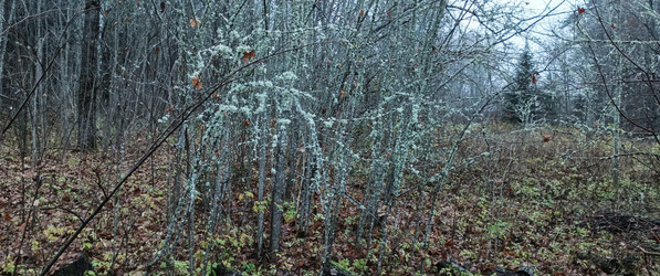 Similar image 22554300