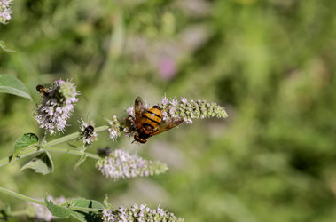 Similar image 22538694