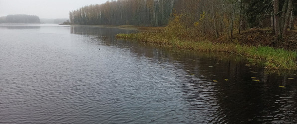 Similar image 22554306