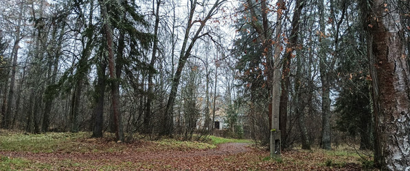 Similar image 22554310