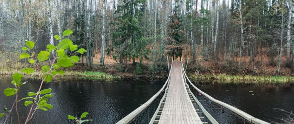 Similar image 22554311