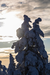 Similar image 22529897