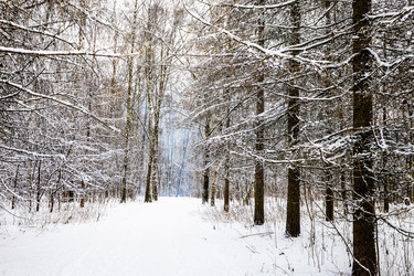 Similar image 22523397