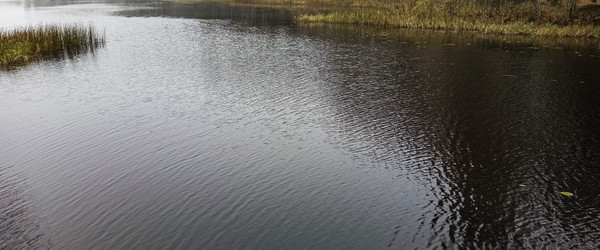 Similar image 22554246