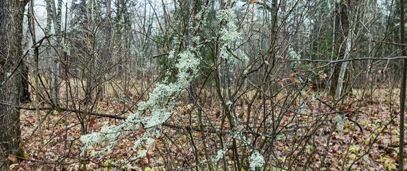 Similar image 22554247