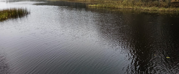 Similar image 22554248