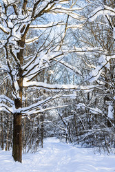 Similar image 22523398