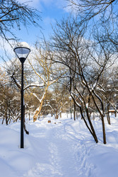 Similar image 22523416