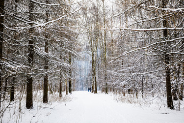 Similar image 22523421