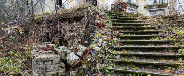 Similar image 22554264