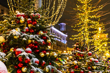 Similar image 22529058