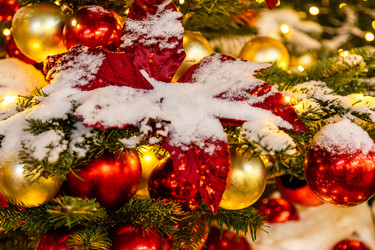 Similar image 22529091