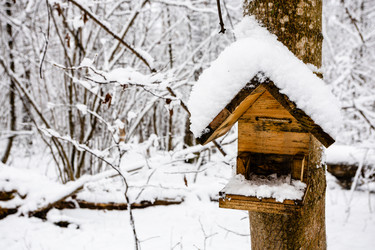 Similar image 22529120