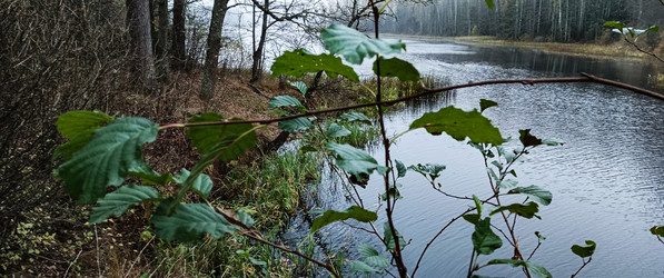 Similar image 22554267